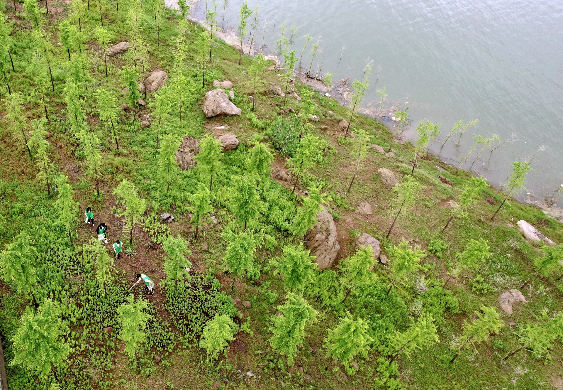 DJI_0298.jpg